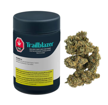 Trailblazer Rootbeer #8 Sativa - Trailblazer Rootbeer #8 Sativa 14G